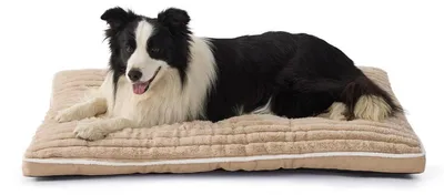 Produktbild von Hundebett Waschbar Beige 90 x 60 x 7 cm