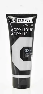 Immagine prodotto di Vernice acrilica 100 ml - Argento iridescente n. 029