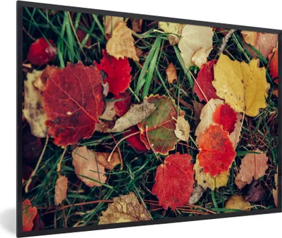 Produktbild von MuchoWow® Gerahmtes Poster Blätter - November - Herbst - Natur 30x20 cm - Poster mit Schwarzem Bilderrahmen Wandposter Rahmen Foto Bilder - Kunstdruck - Bild-Poster