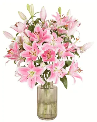 Produktbild von Blumenstrauß Pinke Lilien | Geschenk - frische Blumen | Blumenversand von BLOOMY DAYS