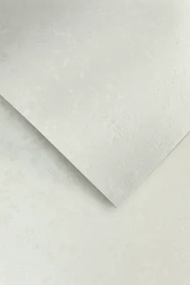 Obrázek produktu pro Galeria Papieru ozdobný papír Floral bílá 220g, 20ks