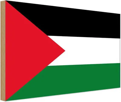 Produktbild von vianmo Holzschild 20x30 cm Palästinas Palestine Flagge Fahne Wappen