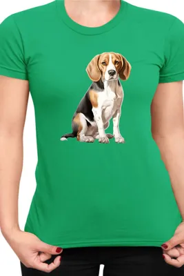 Produktbild von Damen T-Shirt Dogs Breeds Beagle Dog Breed 008, Lady L / Grün