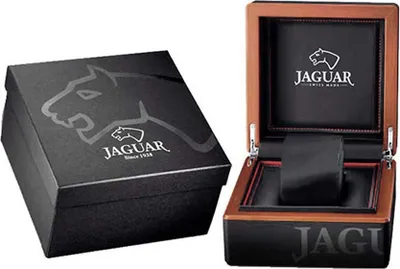 Image de Jaguar Homme Montre multifonction Connected Sport élégante en acier inoxydable noir UJ929/1