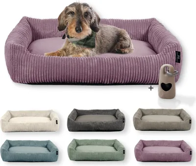A collage of dog beds in various colors, with a dachshund on a purple bed at the top.