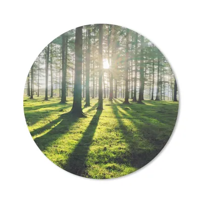 Produktbild von MuchoWow® Mauspad Mousepad Bäume - Natur - Wald 40x40 cm - Mousepads - Maus Mat - Pad - Mausunterlage - Schreibtisch Accessoires