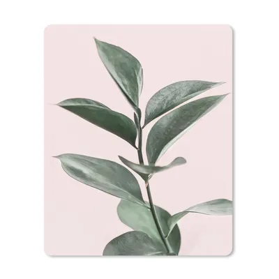 Produktbild von MuchoWow® Mauspad Mousepad Pflanzen - Grün - Natur - Rosa 19x23 cm - Mousepads - Maus Mat - Pad - Mausunterlage - Mauspads - Spielen