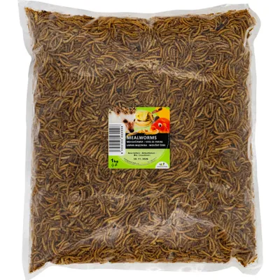 Produktbild von UGF Premium Mehlwürmer getrocknet 1kg, Insekten Snacks für Vögel, Proteinreiches