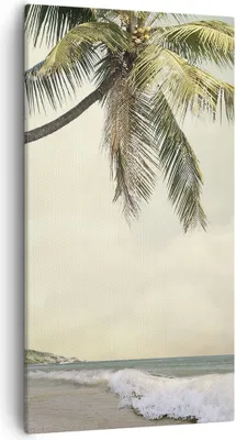 Produktbild von Bild auf Leinwand - Leinwandbild - Einteilig - Palme Strand Insel - 55x100cm - Wand Bild - Wanddeko - Wandbilder - Leinwanddruck - Bilder - Wanddekoration - Leinwand bilder - Wandbild - PA55x100-4154