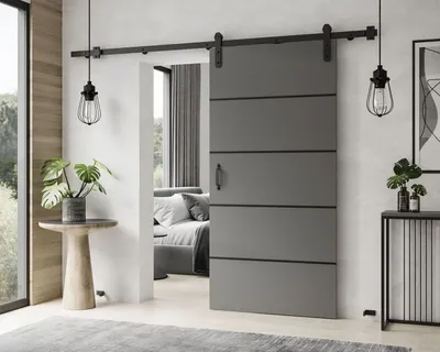 Obrázok produktu pre Posuvné dvere LOGAN PLUS s madlom a tlmičom 76 cm grafit