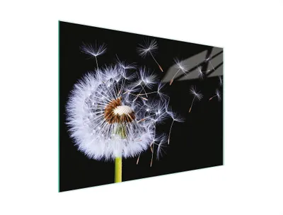 Obrázok produktu pre Krájacia doska Kryt na sporák Multiglass krájacia doska 30x22 cm Dandelion Black