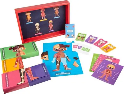 Produktbild von Besttoy - Puzzle und Lernkarten - Dein Körper
