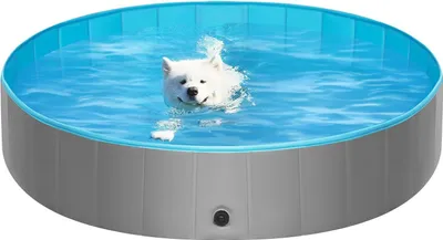 Produktbild von Famanu Haustierpool faltbar grau/blau 80x20cm für Hunde und Katzen