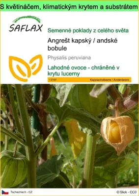 Obrázek produktu pro SAFLAX Garden to go - Angrešt kapský / andské bobule - Physalis peruviana - 100 Semena - S květináčem, klimatickou poklicí a pěstebním substrátem