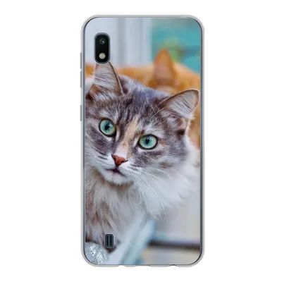 Produktbild von MuchoWow® Handyhülle Schutzhülle Hülle für Samsung Galaxy A10 Katze - Fenster - Katzen Silikon Softcase Handy Hülle - Schutzhülle