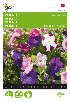Produktbild von Petunie Niedrige Mischung | Petuniensamen von Buzzy Seeds