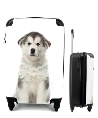 Produktbild von MuchoWow® Koffer Handgepäck Trolley Rollkoffer Kleine Reisekoffer mit 4 Rollen - Husky-Welpe auf weißem Hintergrund - Cabin Size < 55x40x23 cm & 55x40x20 cm - Fotokoffer - Kabinenkoffer - Boardgepäck - Reise-Box - Reisekoffer - Reisegepäck - Koffer mit Bild - Trolley für Kinder