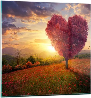 Produktbild von Bilder auf glas - Baum Wiese Blume - 70x70cm - Glasbilder - Wandbilder - Kunstdruck - zum Aufhängen bereit - Wanddekoration aus Glas - Glas Bilder - Wandbild auf Glas - Einteilig - GAC70x70-3790