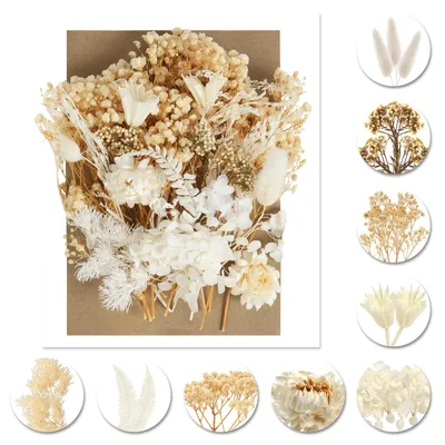 Trockenblumen-Set, natürliche getrocknete Blumen, DIY-Bastelmaterial