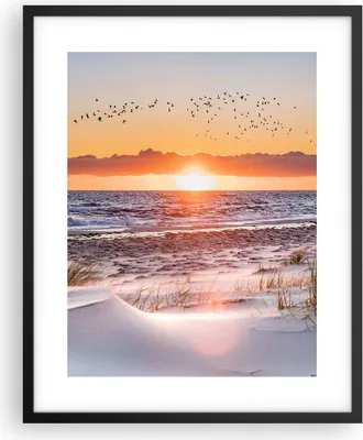 Produktbild von Gerahmtes Poster - Schwarzer Rahmen - Sonne Strand Vögel - 40x50 cm - Wand Bild - Wanddeko - Wandbilder - Kunstposter - Wandposter - Bilderrahmen - Bilder - Kunstdruck - P2BPA40x50-4727