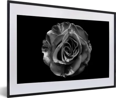 Produktbild von MuchoWow® Gerahmtes Poster Blumen - Rose - Schwarz - Weiß - Botanisch 60x40 cm - Poster mit Schwarzem Bilderrahmen Wandposter Rahmen Foto Bilder - Schlafzimmer - Plakat in Rahmen - Drucken