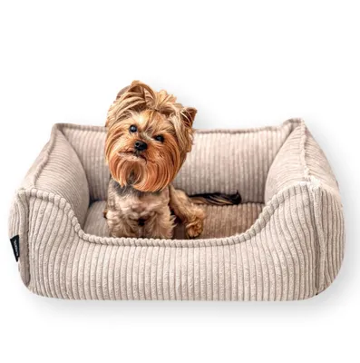 Produktbild von 4L Textil HUGO Orthopädisches Hundebett aus Cord mit Visco-Schaumstoff, abnehmbarer Bezug, für kleine Hunde und Katzen, 60x40 cm, Beige