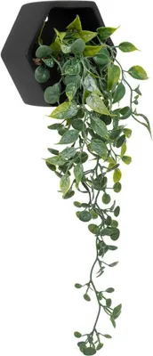 Produktbild von Künstliche hängepflanze ayame topf schwarz h14cm  - Atmosphera créateur d'intérieur