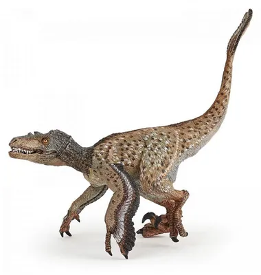 Image de Papo Vélociraptor à plumes PAPO figurine