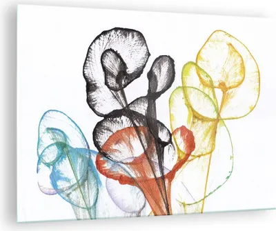 Produktbild von Bilder auf glas - Einteilig - Blumen Abstraktion Surrealismus - 70x50cm - Glasbilder - Wandbilder - Bilder - Wanddekoration aus Glas - Glas Bilder - Wandbild auf Glas - GAA70x50-4444