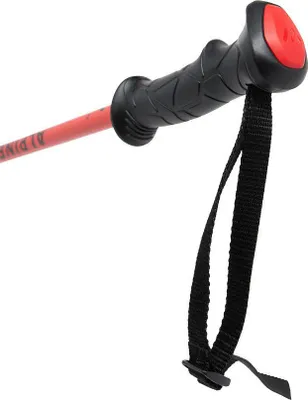 Produktbild von Witeblaze ALPINE PRO JR Kinder Skistöcke Ski Poles schwarz/rot 95