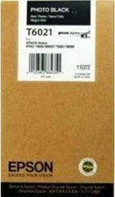 Produktbild von Epson Singlepack Photo Black T602100, Schwarz, Tinte auf Farbstoffbasis, 110 ml, 1 Stück(e), Einzelpackung