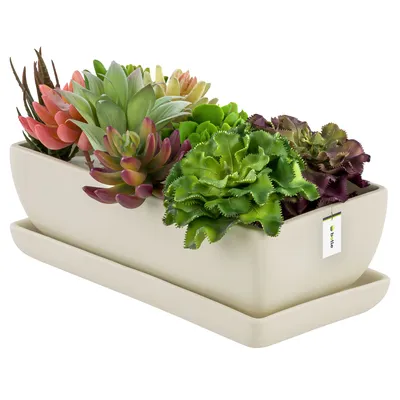A rectangular ceramic planter filled with various artificial succulents, placed on a matching saucer. The planter is cream-colored and has a matte finish. A small tag is attached to the side of the planter.