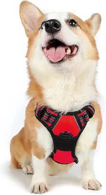 Image de Harnais de poitrine réfléchissant et respirant pour chiens, réglable et souple