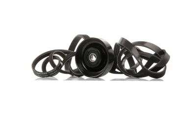 Produktbild von RIDEX 542R0263 Keilrippenriemensatz für HYUNDAI TUCSON (JM)