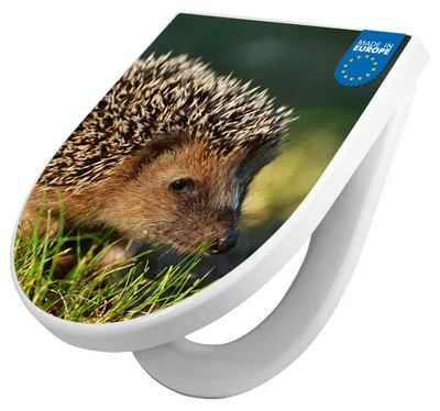 Zdjęcie produktu dla Deska sedesowa z mechanizmem powolnego opadania, kształt D, wzór Bruno [TDW3 12390]