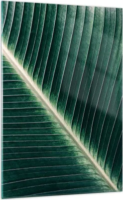 Produktbild von Bilder auf glas - Einteilig - Grün Blatt Tropisch - 70x100cm - Glasbilder - Wandbilder - Bilder - zum Aufhängen bereit - Wanddekoration aus Glas - Glas Bilder - Wandbild auf Glas - GPA70x100-4126