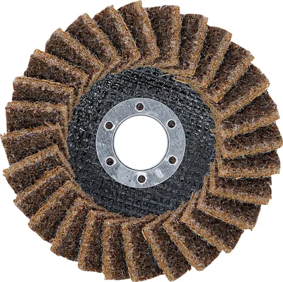 Immagine prodotto di BGS Disco abrasivo a lamelle, tessuto non tessuto Ø 115 mm grana 80 - 74471