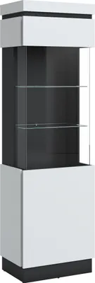Produktbild von Glasvitrine >CAMPANIA< 1 Tür, 3 Böden, Alpinweiß / Anthrazit Nachbildung - 60x200x40cm (BxHxT)