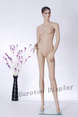 Obrázok produktu pre Eurotondisplay FH-03 Ženská figurína Zobrazovacia figurína