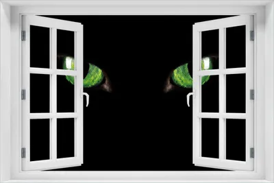 Produktbild von Wallario selbstklebendes Poster mit Fenster-Illusion - Grüne Katzenaugen bei Nacht, Größe: 61 x 91,50 cm