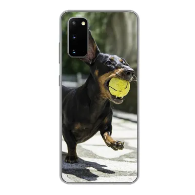Produktbild von MuchoWow® Handyhülle Schutzhülle Hülle für Samsung Galaxy S20 Ein schwarzer Dachshund mit einem Tennisball Silikon Softcase Handy Hülle - Bild