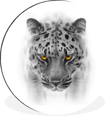 Produktbild von MuchoWow® Aluminium Wandkreis Leopard - Schwarz - Weiß - Tiere Ø 60 cm Wanddeko Modern Wohnzimmer - Wand Kreis - Wandbild - Schlafzimmer - Aluminium Bild - Kinderzimmer - Wohnzimmer Dekoration - Wandschmuck