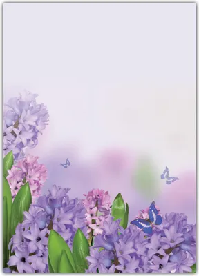Produktbild von Blumen Motivpapier Briefpapier violette Hyazinthen mit Schmetterlingen (MPA-5210, DIN A4, 25 Blatt)