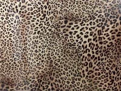 Produktbild von Poli-Flex Design - 4281 Leopard - Din A4