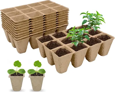 Produktbild von Set von 12 Anzuchttöpfen, 144 Zellen, 1,5" x 1,5", für Setzlinge, Stecklinge und Umtopfen