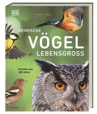 Produktbild von Heimische Vögel lebensgroß