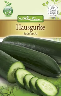 Produktbild von Hausgurke Saladin F1 | Gurkensamen von N.L. Chrestensen