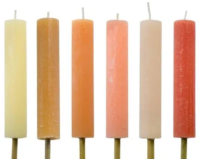 Image de Lot de 6 torches d'extérieur Cactula pour l'été – Ø 3,8 x 20 cm – 10 heures d'autonomie – Bougies de jardin au style rustique