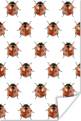 Produktbild von MuchoWow® Poster Marienkäfer - Insekt - Muster 120x180 cm - Kunstposter