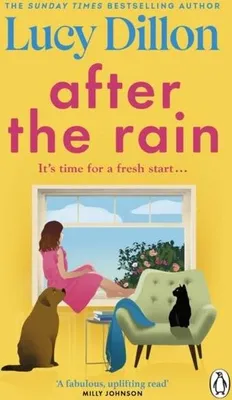 Produktbild von After the Rain